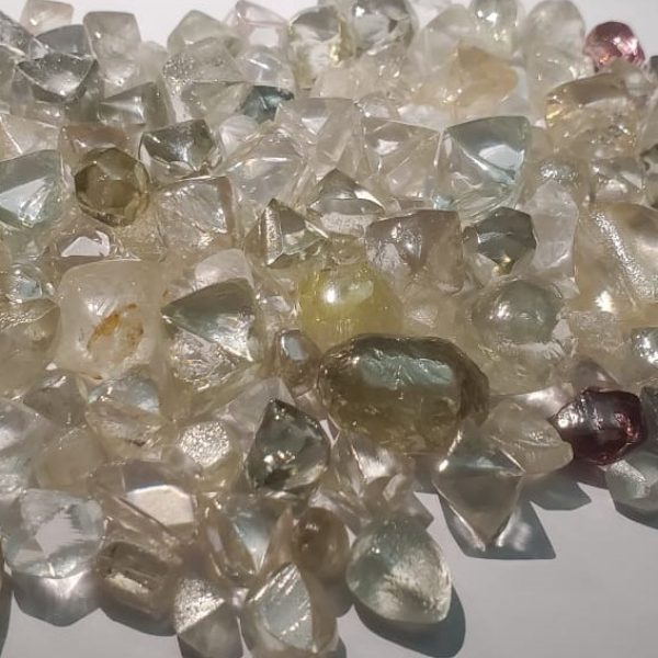 WhatsApp Image 2024-12-08 at 11.03.32