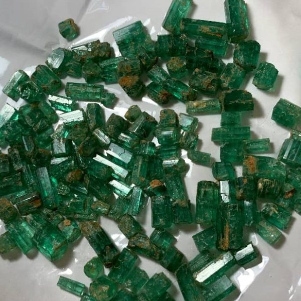 WhatsApp Image 2024-12-08 at 11.15.47